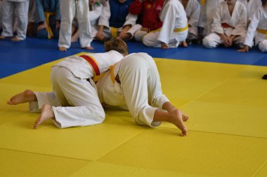 Orenburg, Rusya Federasyonu - 05 Kasım 2016: Boys rekabet Judo