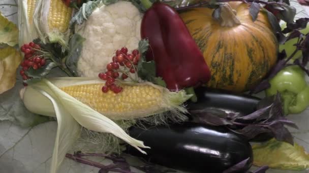 Verduras frescas y maduras — Vídeo de stock