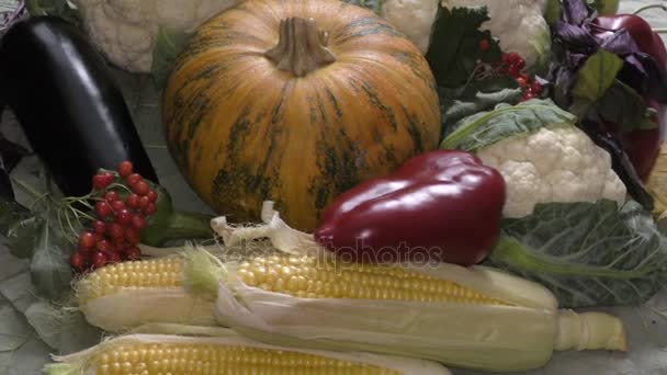 Verduras frescas y maduras — Vídeo de stock