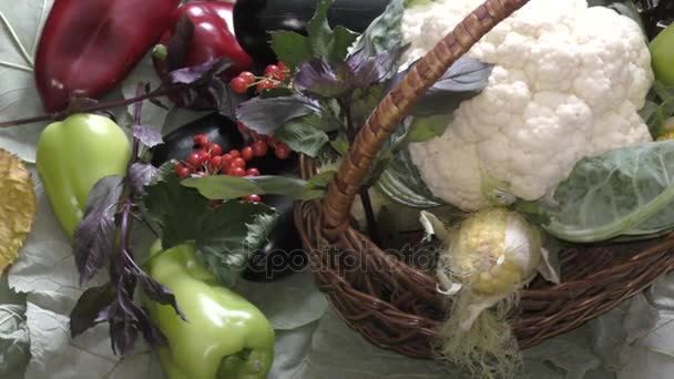 新鲜成熟的蔬菜 — 图库视频影像