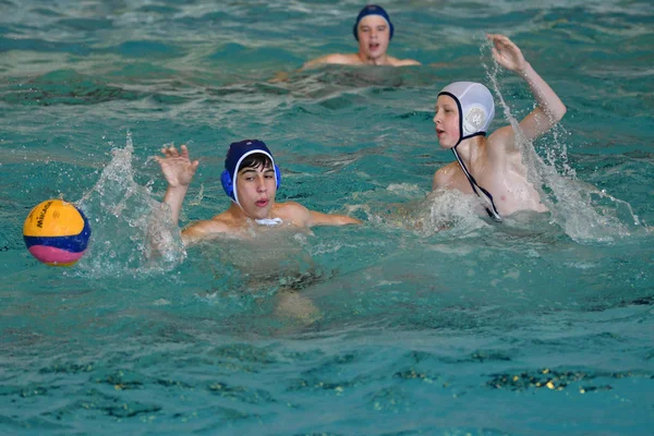 Orenburg, Rusya Federasyonu - ebilmek 4, 2017 yıl: çocuklar su polo oynamak