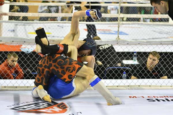 Orenburg, Rusia - 18 de febrero de 2017 año: Los combatientes compiten en artes marciales mixtas — Foto de Stock