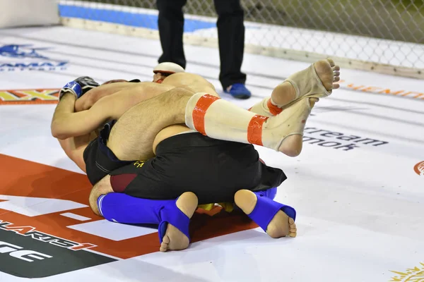 Orenburg, russland - 18. februar 2017 jahr: die kämpfer messen sich in mixed martial arts — Stockfoto