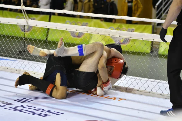 Orenburg, Rusia - 18 de febrero de 2017 año: Los combatientes compiten en artes marciales mixtas — Foto de Stock