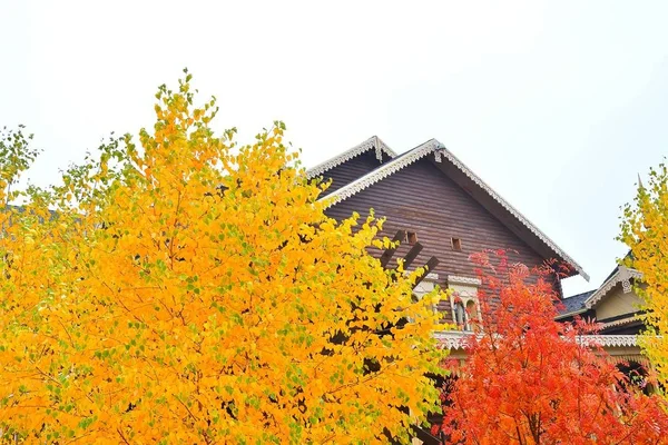 The concept of autumn — Stock Photo, Image