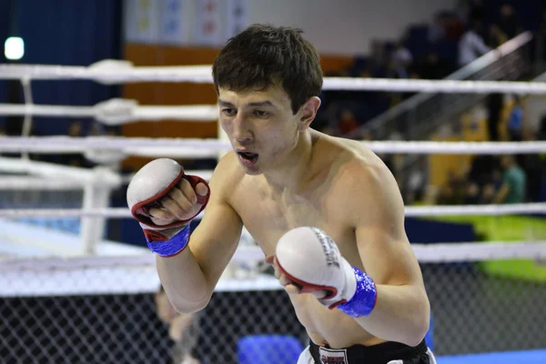 Orenburg, Rusia - 18 de febrero de 2017 año: Los combatientes compiten en artes marciales mixtas —  Fotos de Stock