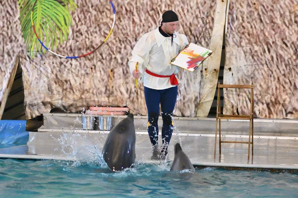 Orenburg, russland - oktober 15, 2017 jahr: delphine und belukha (lat. delphinapterus leucas) im Delfinarium — Stockfoto