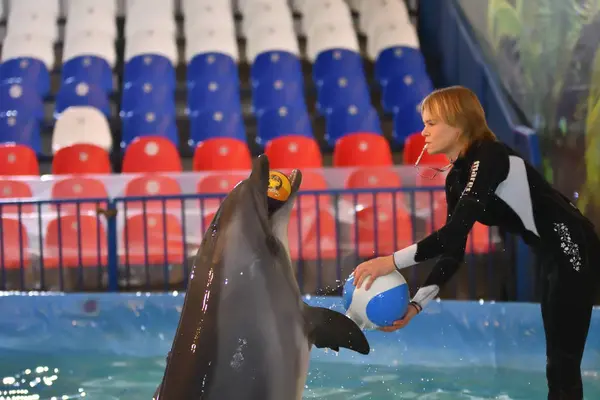 Orenburg, russland - 8. November 2017 jahr: show delphine im delphinarium — Stockfoto