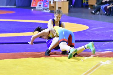 Orenburg, Rusya Federasyonu - 25 Ekim 2017 yıl: kız rekabet serbest stil güreş