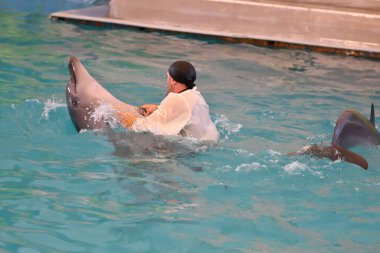 Orenburg, Rusya Federasyonu - 15 Ekim 2017 yıl: eğitmen yunuslar ve Yunuslar