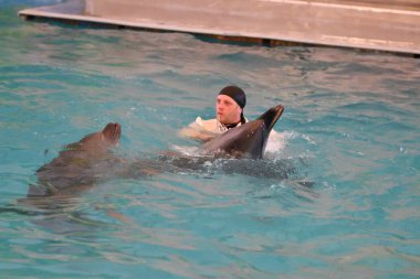 Orenburg, Rusya Federasyonu - 15 Ekim 2017 yıl: eğitmen yunuslar ve Yunuslar