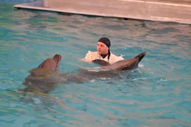 Orenburg, Rusya Federasyonu - 15 Ekim 2017 yıl: eğitmen yunuslar ve Yunuslar