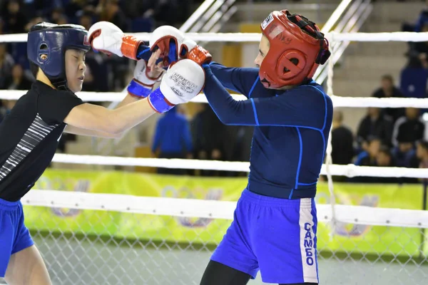 Orenburg, Rusia - 18 de febrero de 2017 año: Los combatientes compiten en artes marciales mixtas —  Fotos de Stock