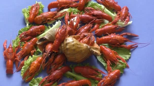午餐煮小龙虾 — 图库视频影像