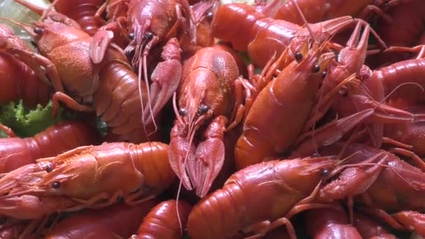 Cangrejos Río Cocidos Para Almuerzo — Vídeo de stock