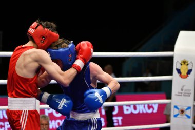 Orenburg, Rusya Federasyonu-Mayıs 7, 2017 yıl: çocuklar boksörler rekabet