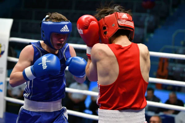 Orenburg, Rusya Federasyonu-Mayıs 7, 2017 yıl: çocuklar boksörler rekabet