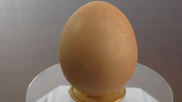 Easter Egg Przygotowane Wakacje — Wideo stockowe
