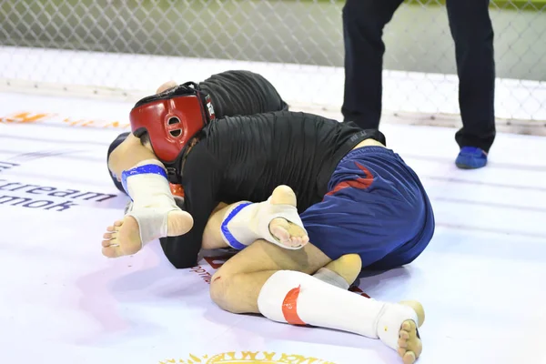 Orenburg, Rusia - 18 de febrero de 2017 año: Los combatientes compiten en artes marciales mixtas —  Fotos de Stock