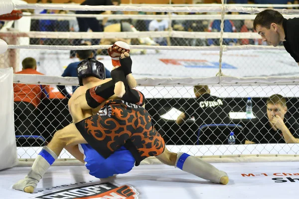 Orenburg, Rusia - 18 de febrero de 2017 año: Los combatientes compiten en artes marciales mixtas (MMA ) — Foto de Stock