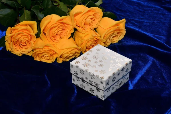 Žluté růže na modrém pozadí — Stock fotografie