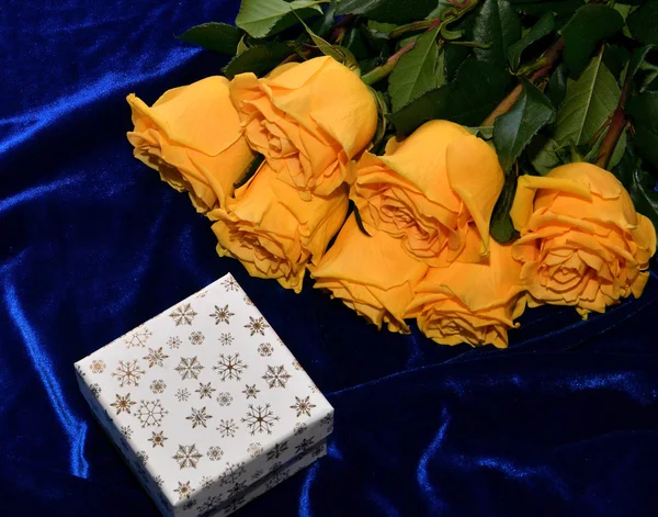 青い背景の黄色いバラ — ストック写真