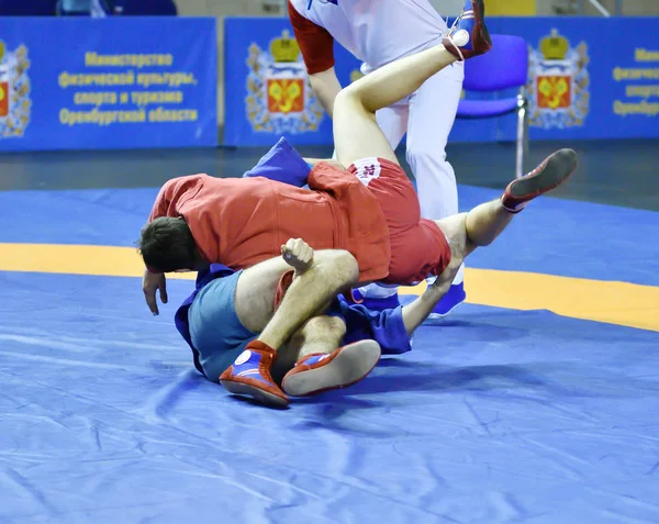 Orenburg, Rusya - 25-26 Ekim 2019: Erkek yarışmaları Sambo — Stok fotoğraf