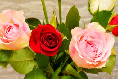 Sevgililer Günü - Sevgililer Günü