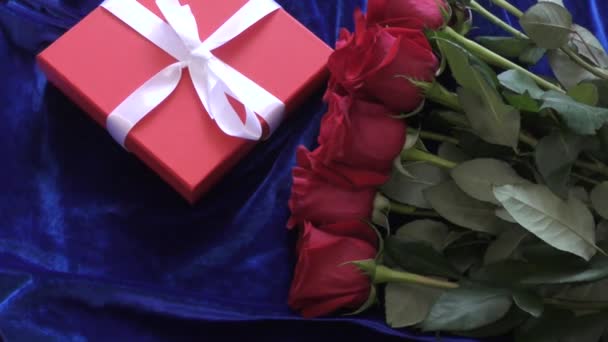 Red Roses Gift Valentine Day — Stock Video