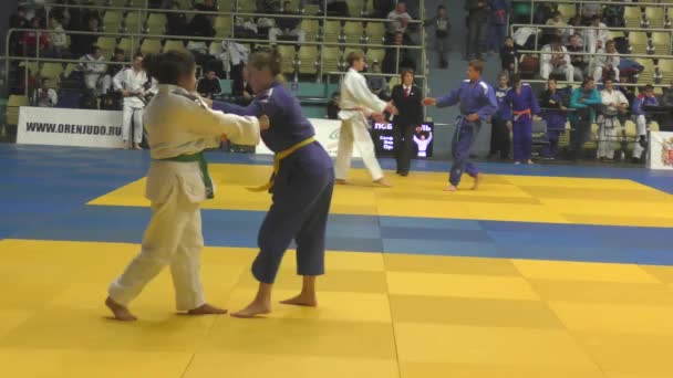 Orenburg Russie Octobre 2017 Les Filles Concourent Judo Tournoi Judo — Video