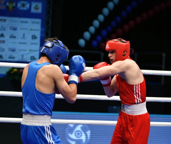 Orenburg Russia May 2017 Year Boys Boxers Compete Championship Russia — Stock Photo, Image