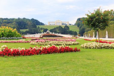 Glorietta park Schonbrunn Sarayı