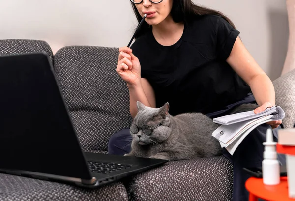 Žena a unavená britská kočka pracující nebo styling na notebooku z domova v blízkosti medicíny. Pracuje a žije v karanténě. Koronavirus. Home Office — Stock fotografie