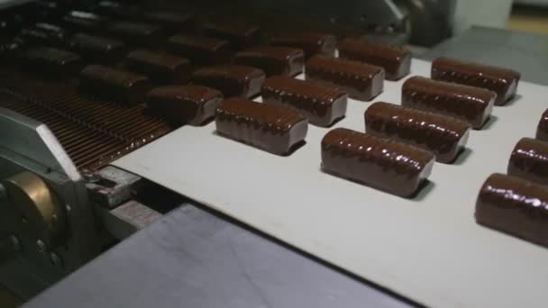 Zasklené tvarohu jsou pokryté čokoládou — Stock video
