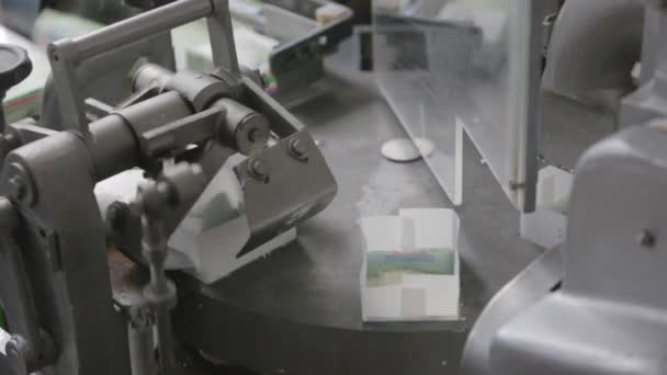 Produzione di fiocchi di latte in fabbrica di diario — Video Stock