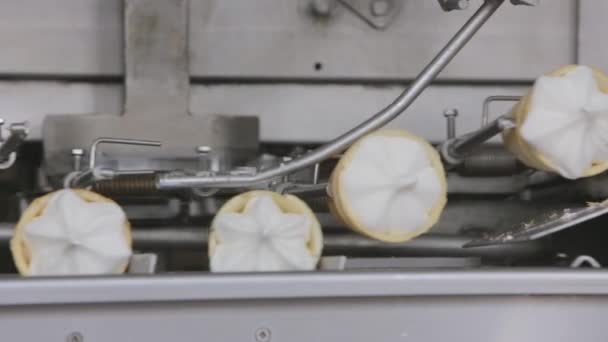 食品厂用华夫饼锥制作冰淇淋的输送机 — 图库视频影像