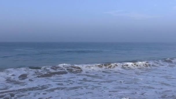 La ragazza cammina lungo la spiaggia con onde oceaniche — Video Stock