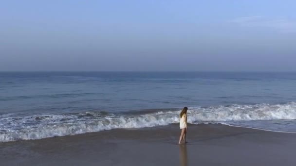 空中ショット女の子が浜辺に沿って歩いて朝の海の波と — ストック動画