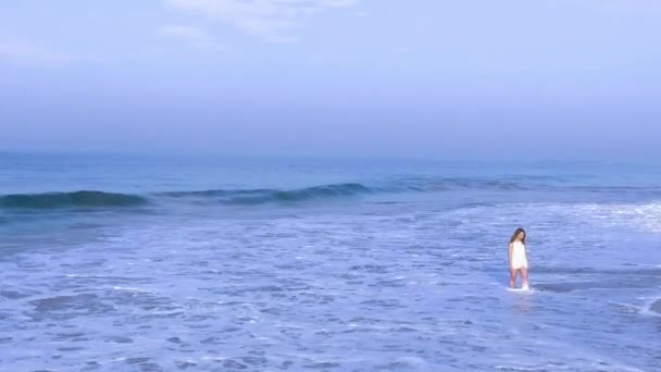 女の子はオーシャン ビーチを歩いて空中ショット — ストック動画