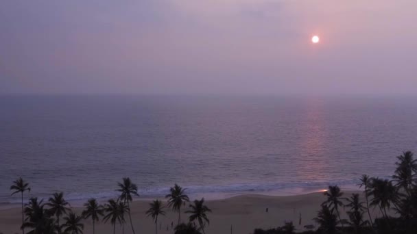 Tropikalne Zachód słońca. Słońce nad ocean, fale morza w wieczór, tropikalny pams i ocean — Wideo stockowe