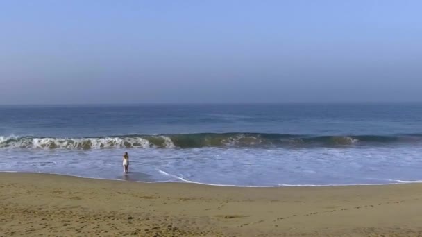 Zdjęcia lotnicze zwolnionym tempie dziewczyna stoi naprzeciwko ocean fala — Wideo stockowe