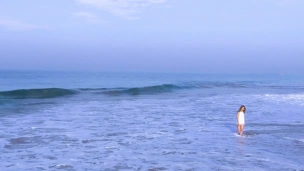 Disparo aéreo en cámara lenta la chica está caminando en la playa del océano — Vídeos de Stock