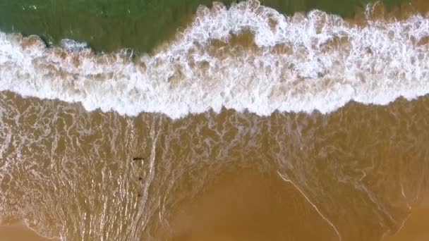 Plan aérien au ralenti Ligne de plage étroite, vagues et océan, sri-lanka, hikkaduwa 