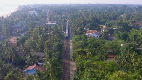 Ralenti aérien tourné le vieux train roule à travers les tropiques avec des palmiers et des villas — Video