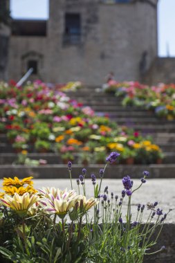 Gotik mahalledeki merdiven. Girona çiçekleri. Tiempo de un festivali.