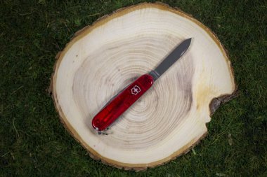 İbach, İsviçre 02.02.2020 İsviçre Ordu Bıçağı Victorinox