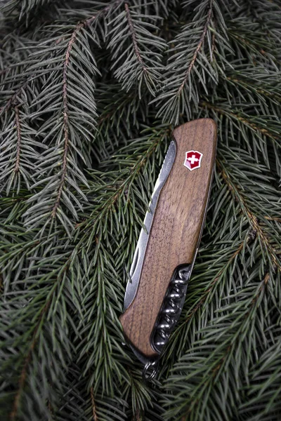 Ibach, Switzerland 02.02.2020 - closed Victorinox Swiss Army knife multitool — 图库照片