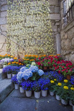 Çiçek buketleri Girona Çiçek Festivali Tiempo de Flores 'de