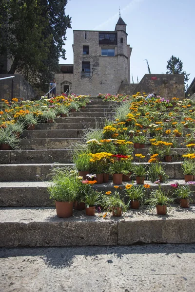 Лестница в готическом квартале Жирона украшает цветы Tiempo de flors festival — стоковое фото