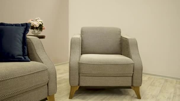 Минималистичный современный бежевый текстильный диван с дизайнерским стулом и декоративной клеткой . — стоковое видео